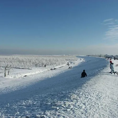 Am Leuchtturm Gruenendeich